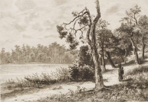 Wolgastsee, Insel Usedom