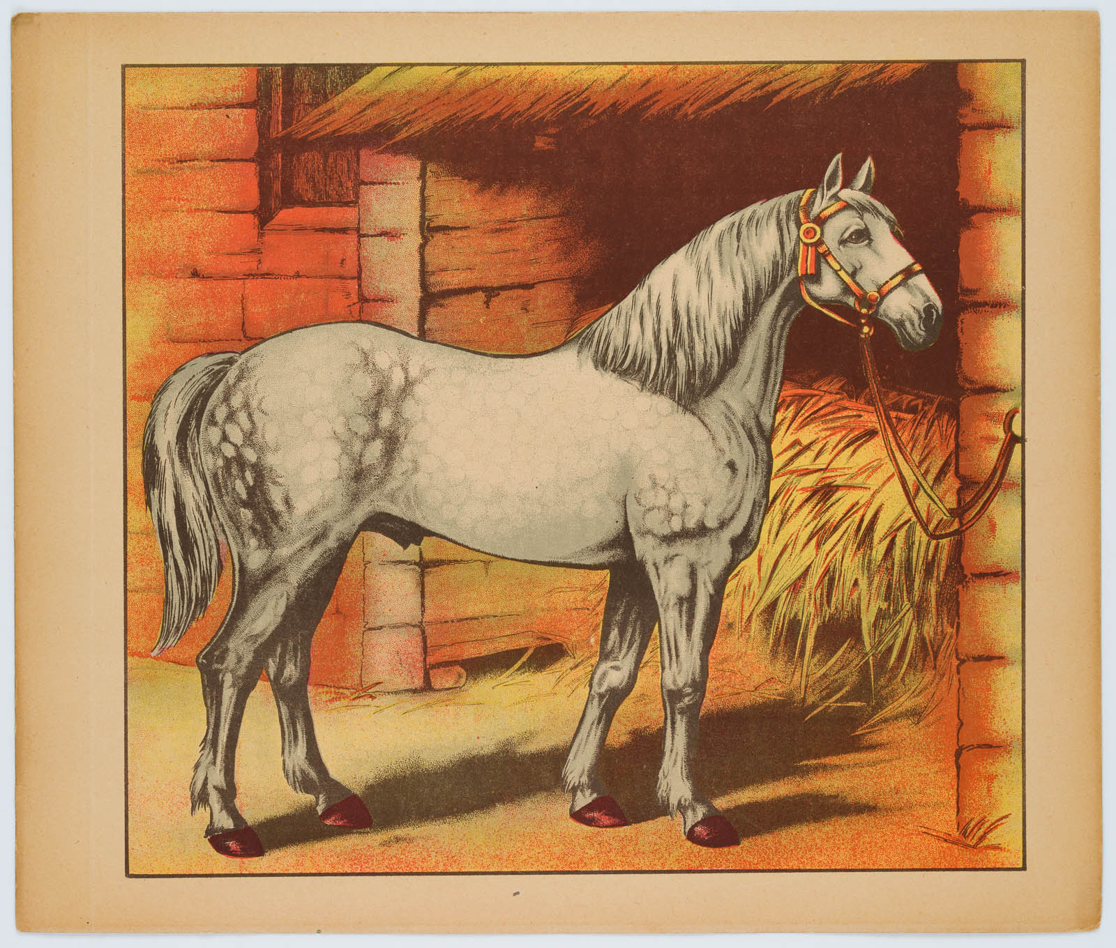 Pferd im Stall, Hahn