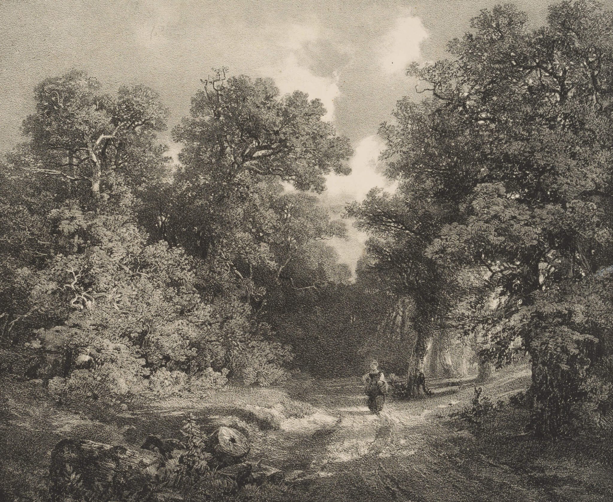 Waldweg mit Spaziergängerin