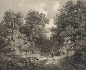 Waldweg mit Spaziergängerin