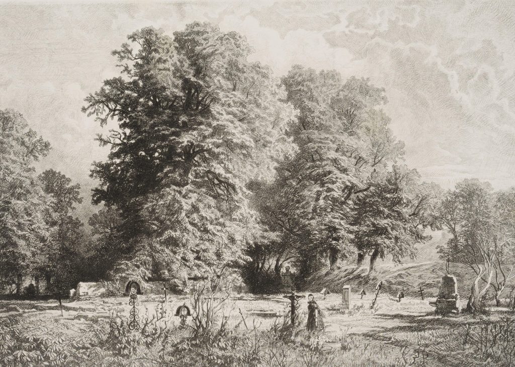 Werk von August Schäffer von Wienwald