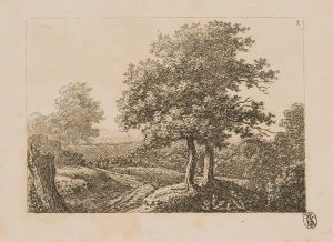 Landschaft mit prächtigem Baum