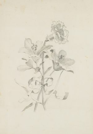 Lilien und Nelken