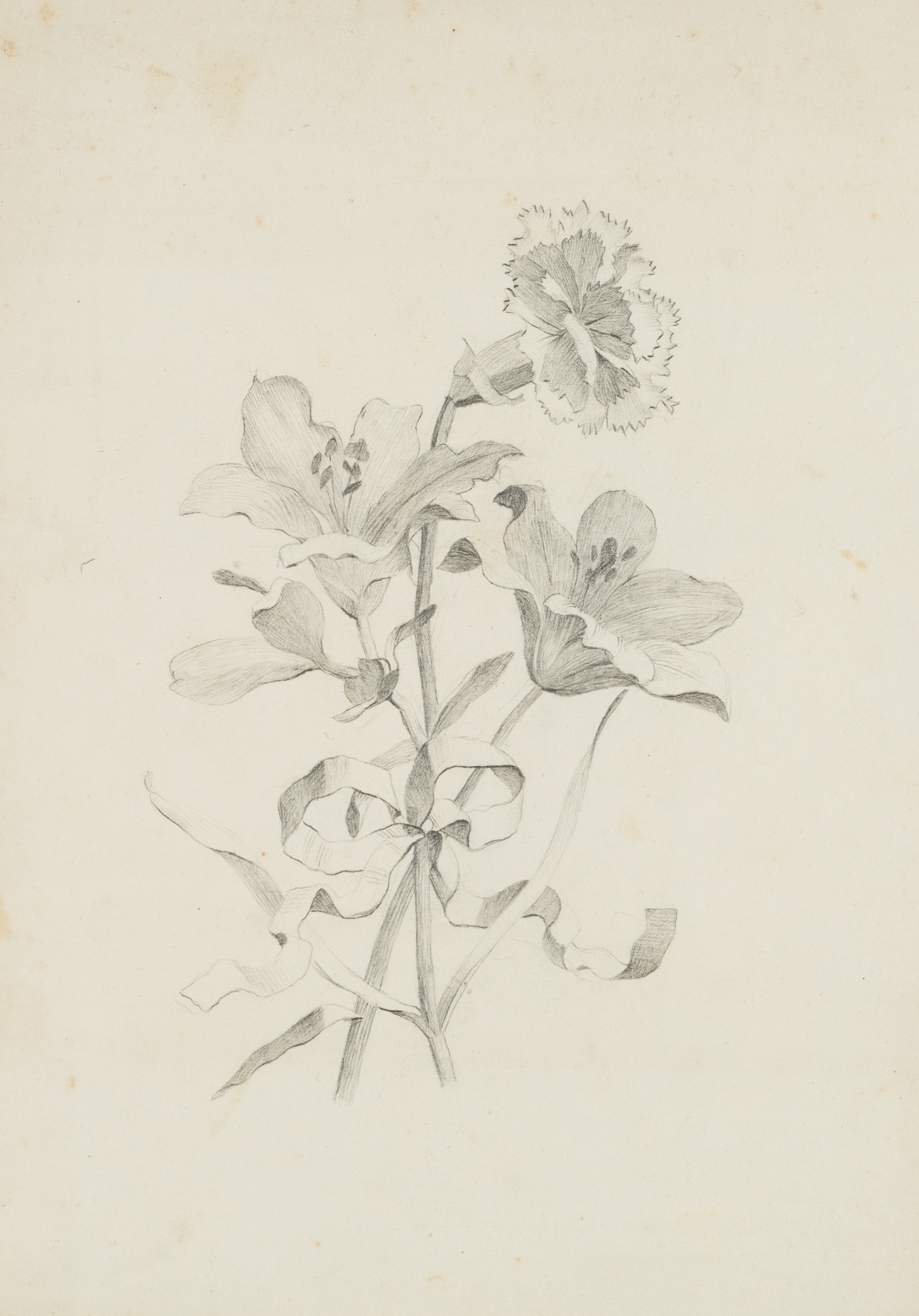 Lilien und Nelken
