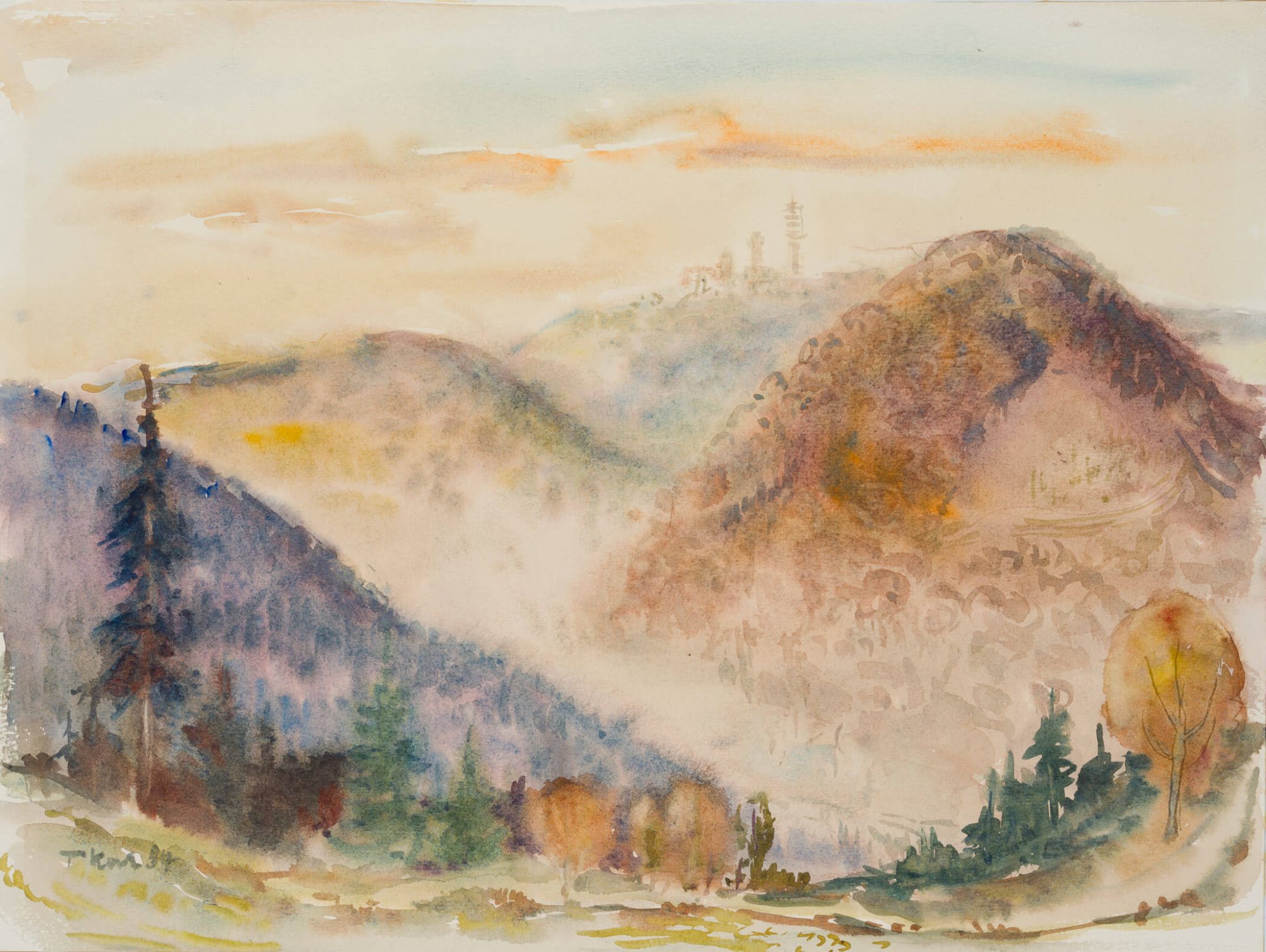 Blick über Waldlandschaften