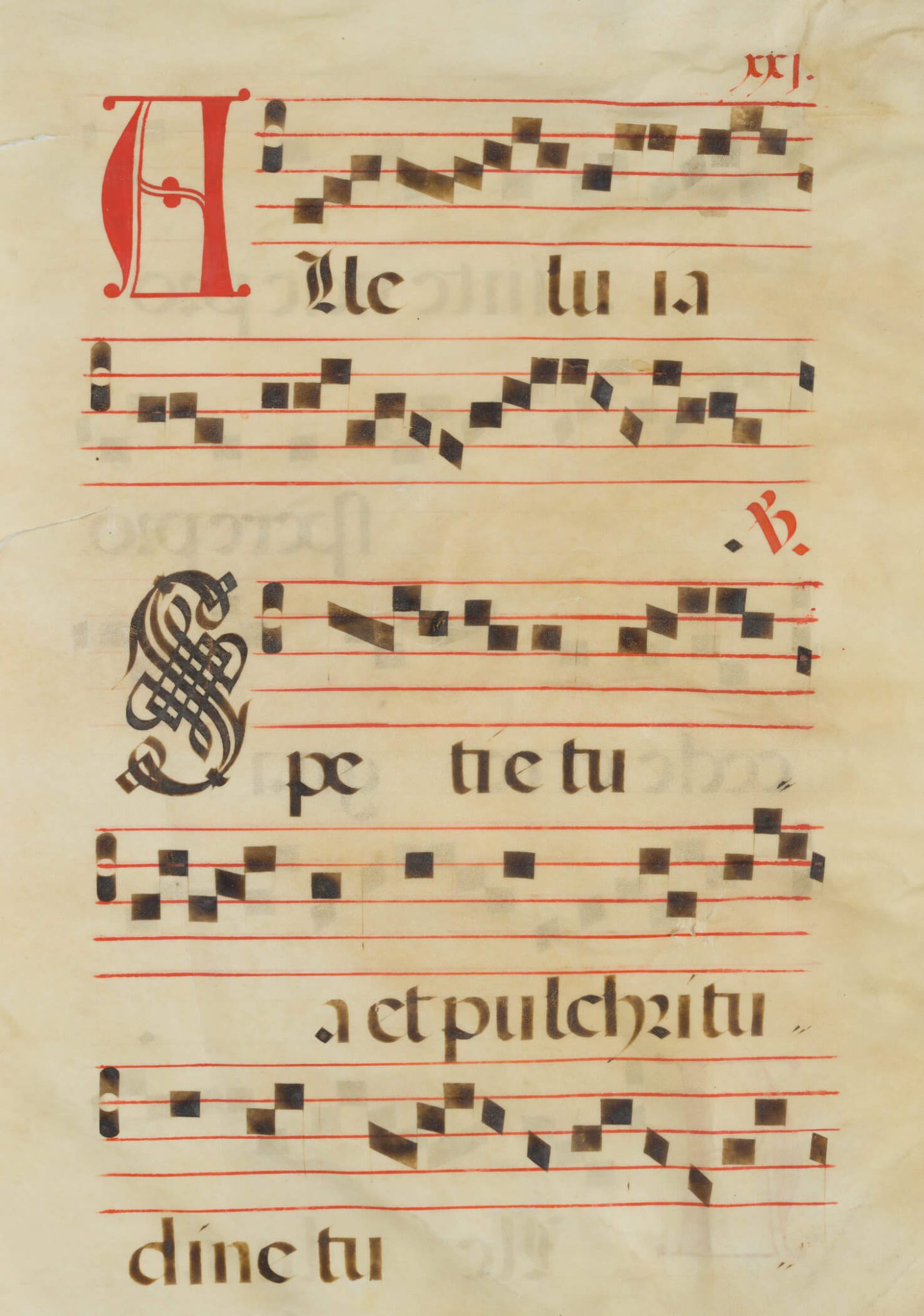 Antiphonarblatt mit Notenhandschrift