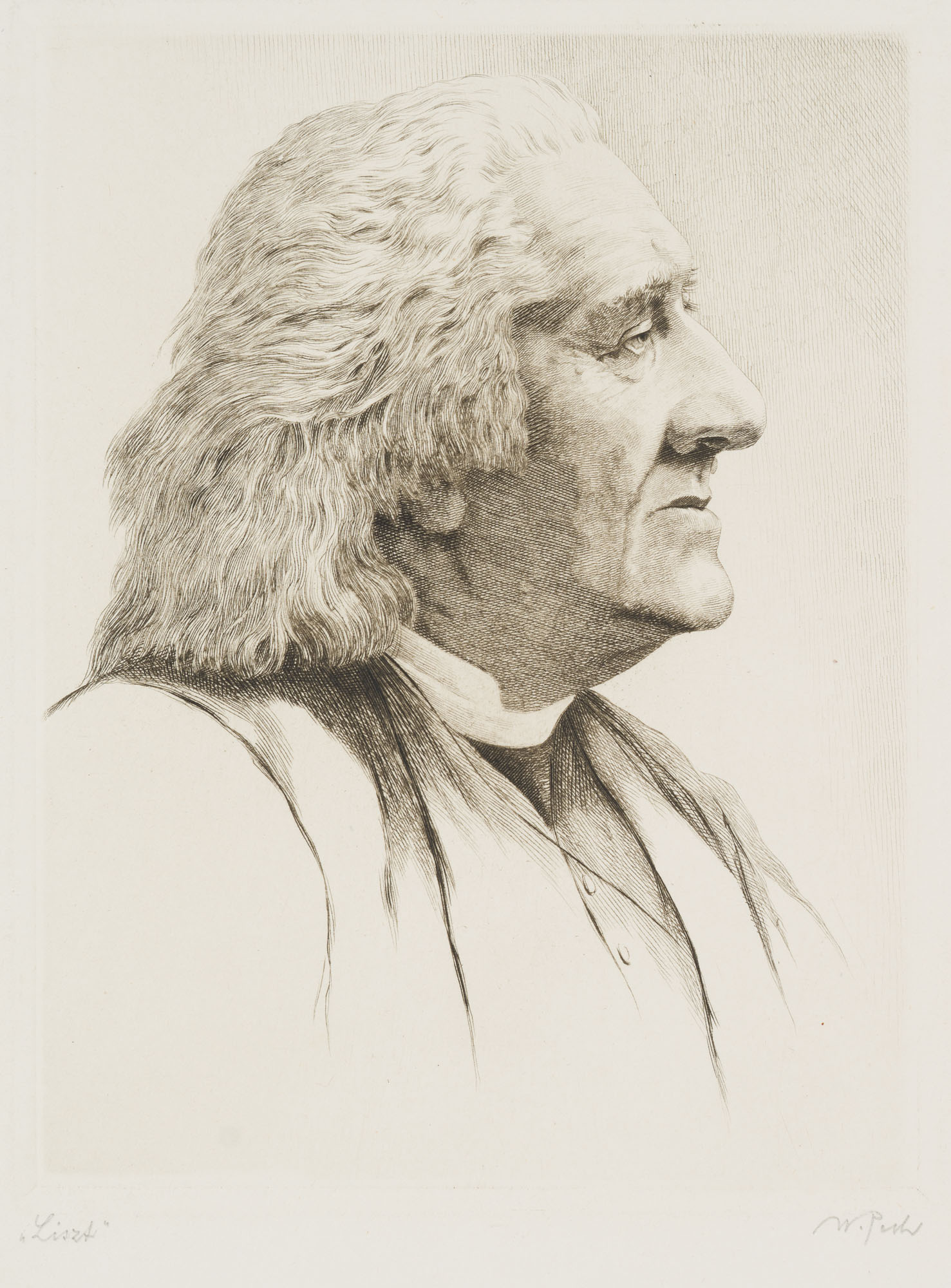 Porträt F. Liszt (1811-1886)