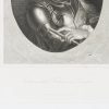 Ansicht 4