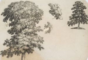 Baum- und Laubwerkstudien