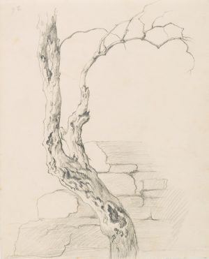 Kahler Baum