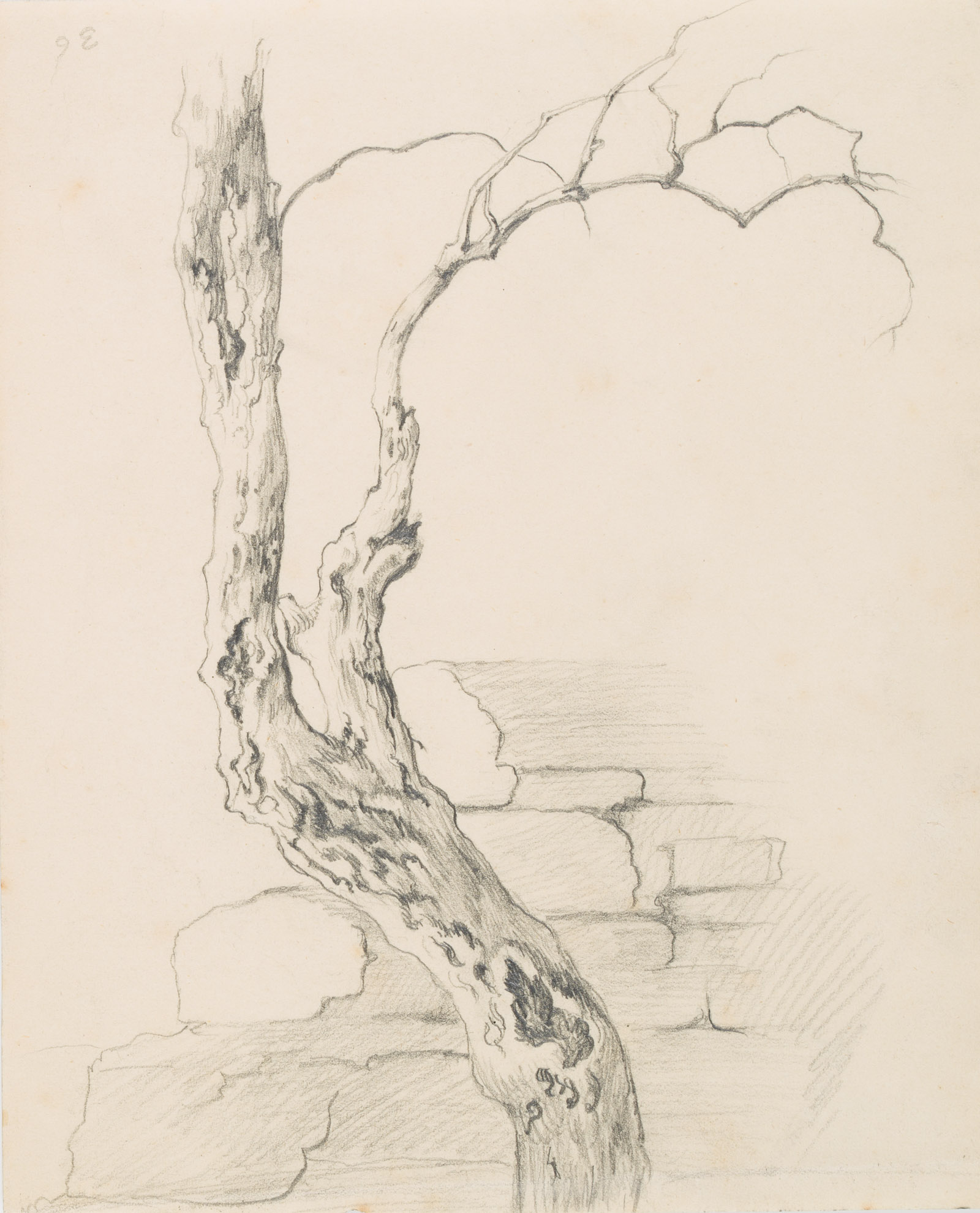 Kahler Baum