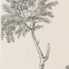 Ansicht 3