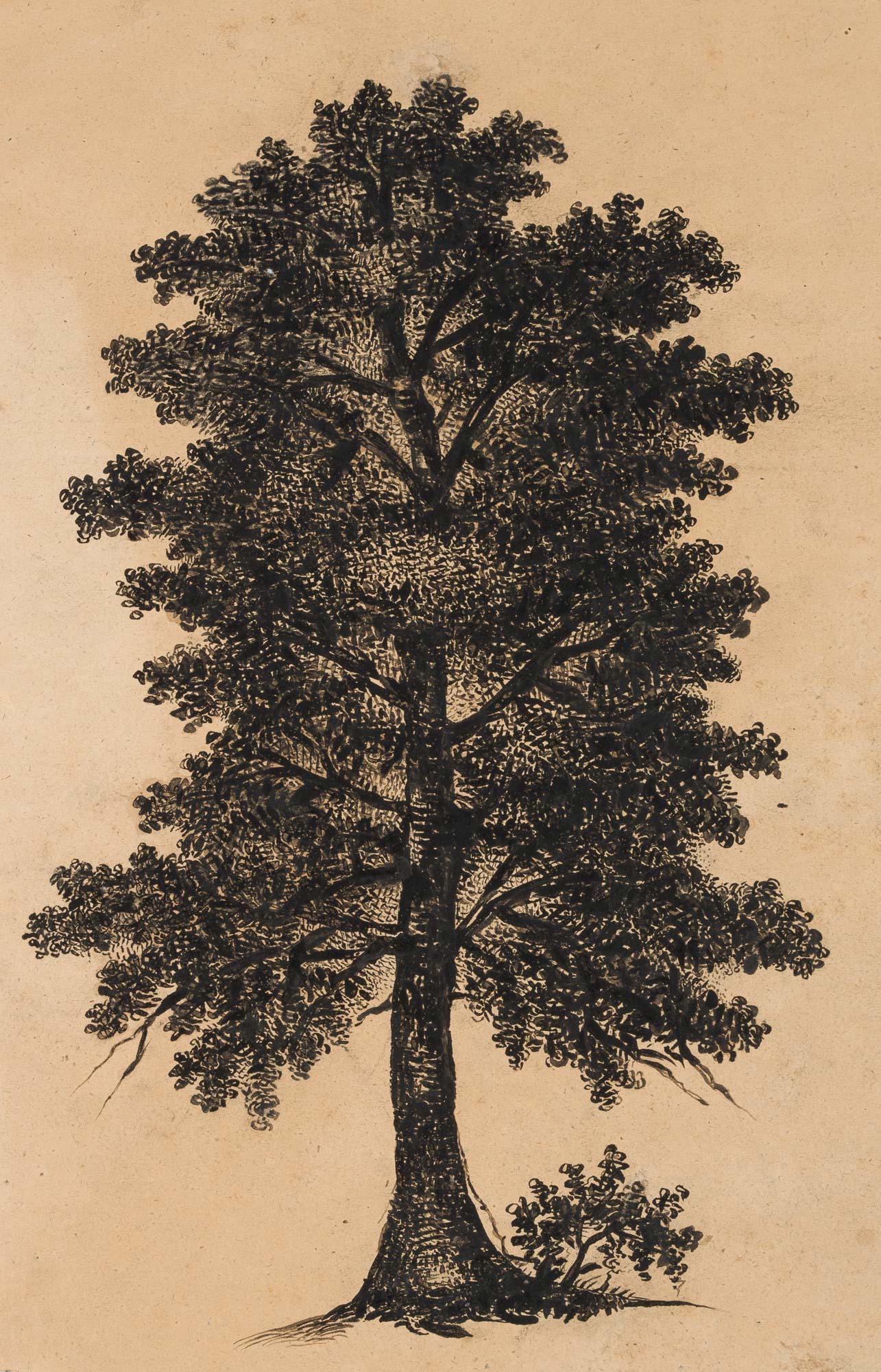 Laubbaum
