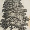 Ansicht 1