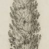 Ansicht 1