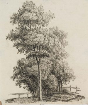 Landschaft mit Baumgruppe