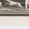 Ansicht 4