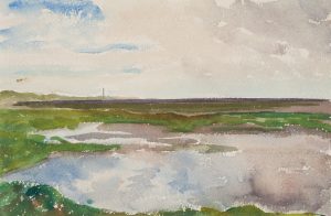 Grüne weite Wattenlandschaft