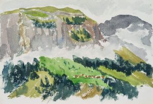 Gebirgslandschaft mit grünen Wiesen