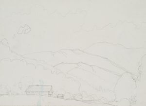 Sanfte Wiesenhügel in den Alpen