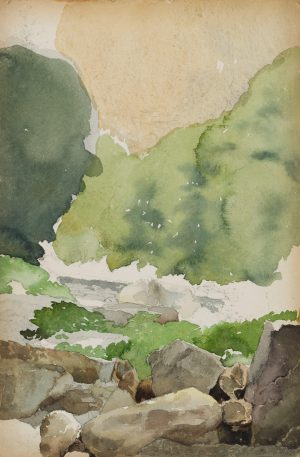 Naturlandschaft mit Gestein