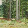 Ansicht 1