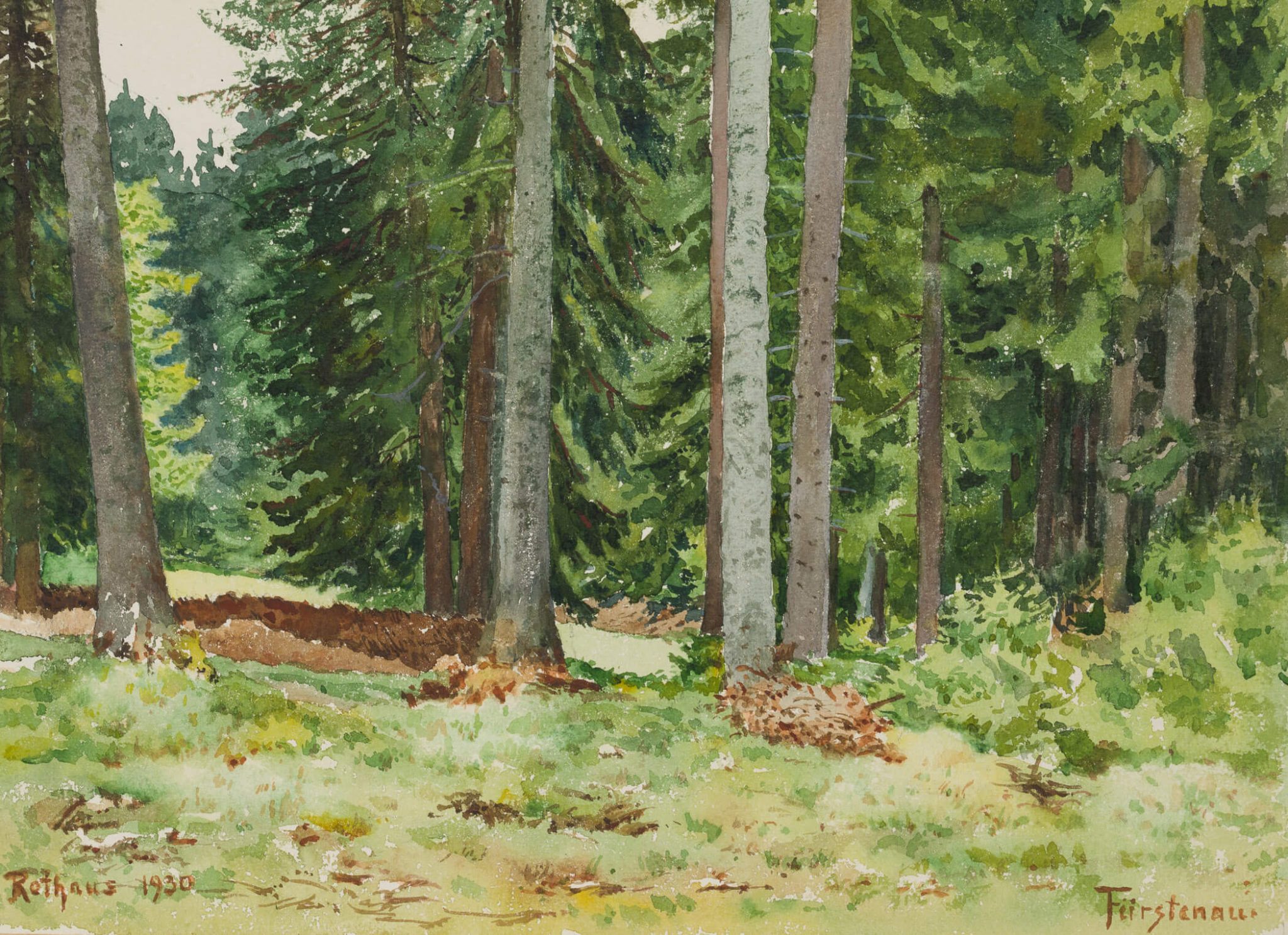 Waldstück bei Rothaus