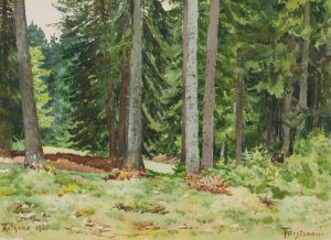Waldstück bei Rothaus