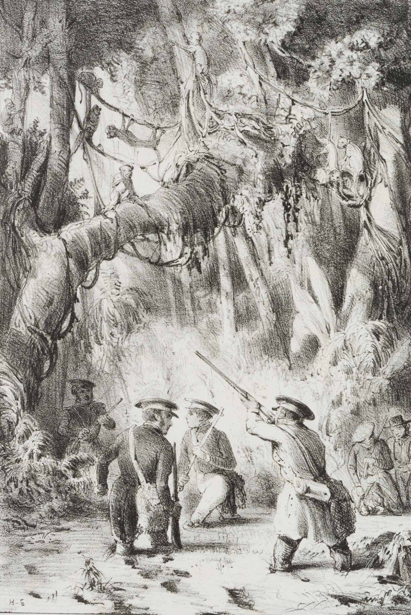 Jagd auf Nasenaffen