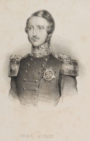Porträt des Prinz Albert