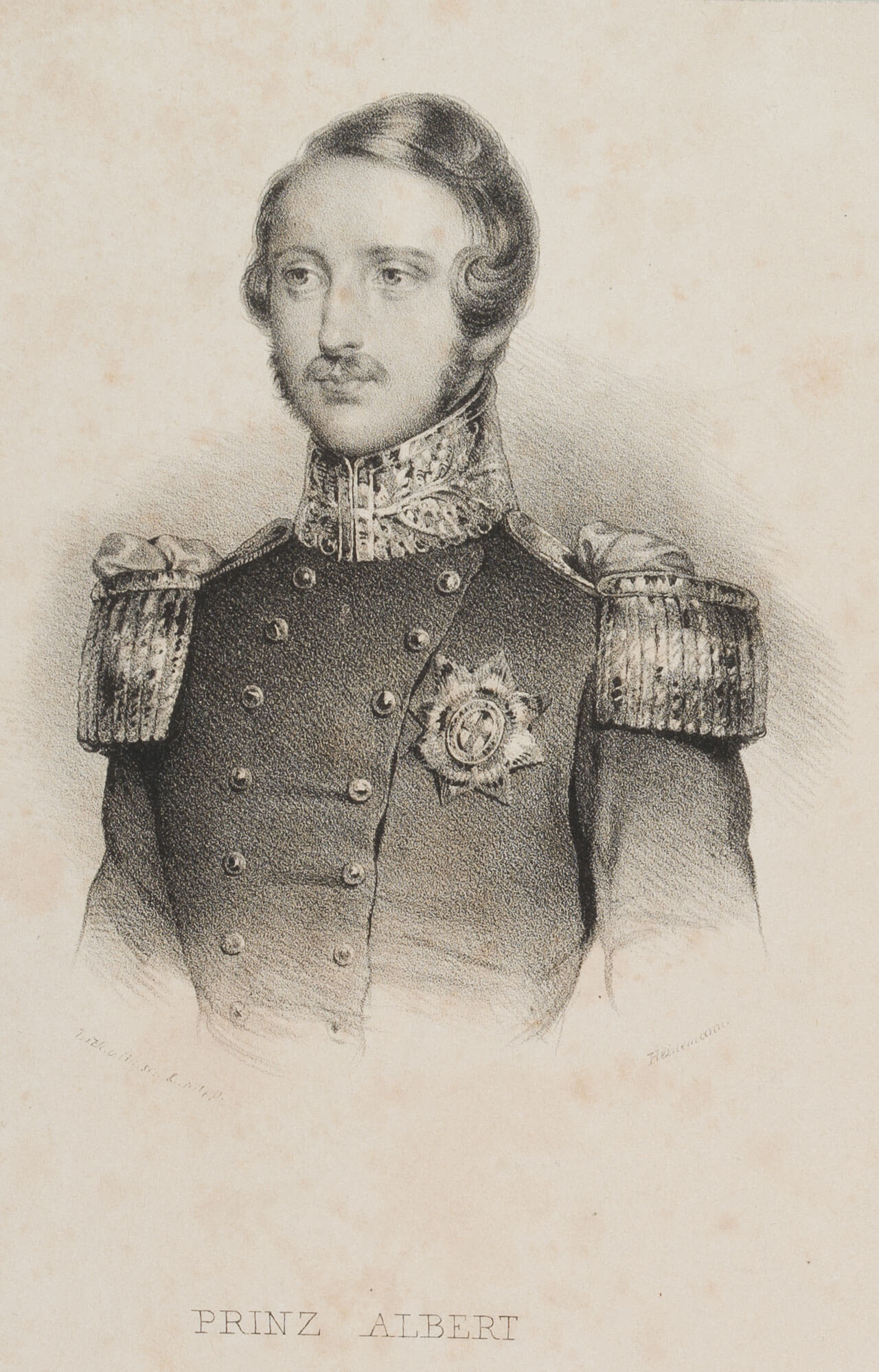 Porträt des Prinz Albert