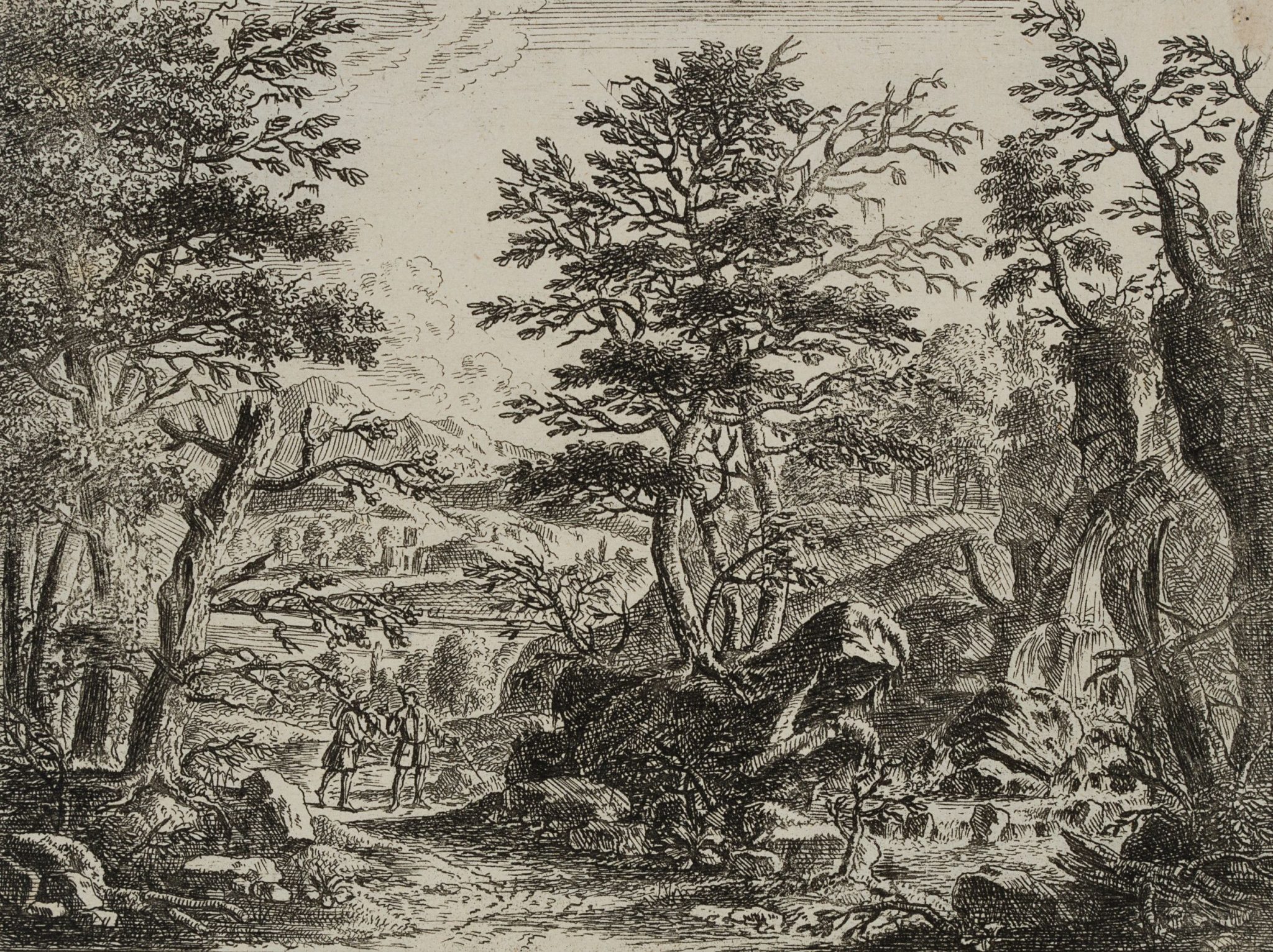 Waldstück mit Wandersleuten