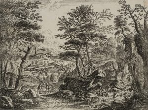 Waldstück mit Wandersleuten