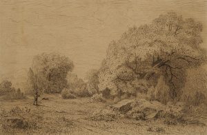 Waldstück Fontainenbleau. Romantik