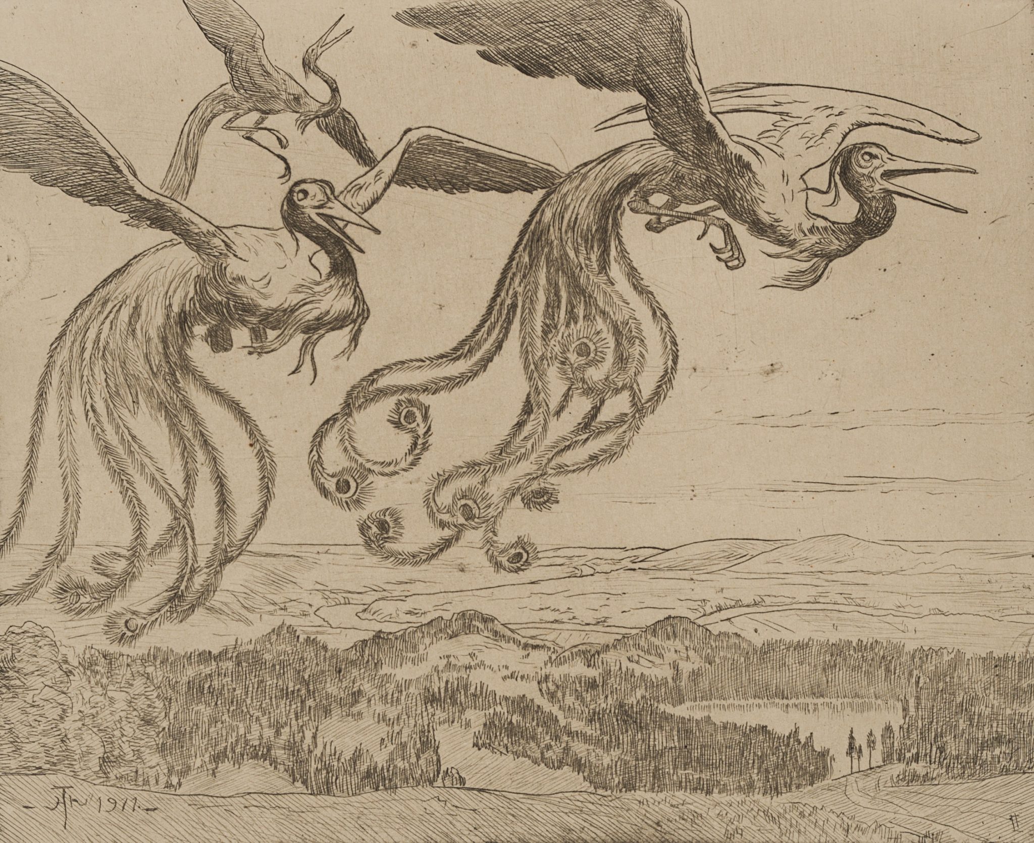 Wundervögel V.