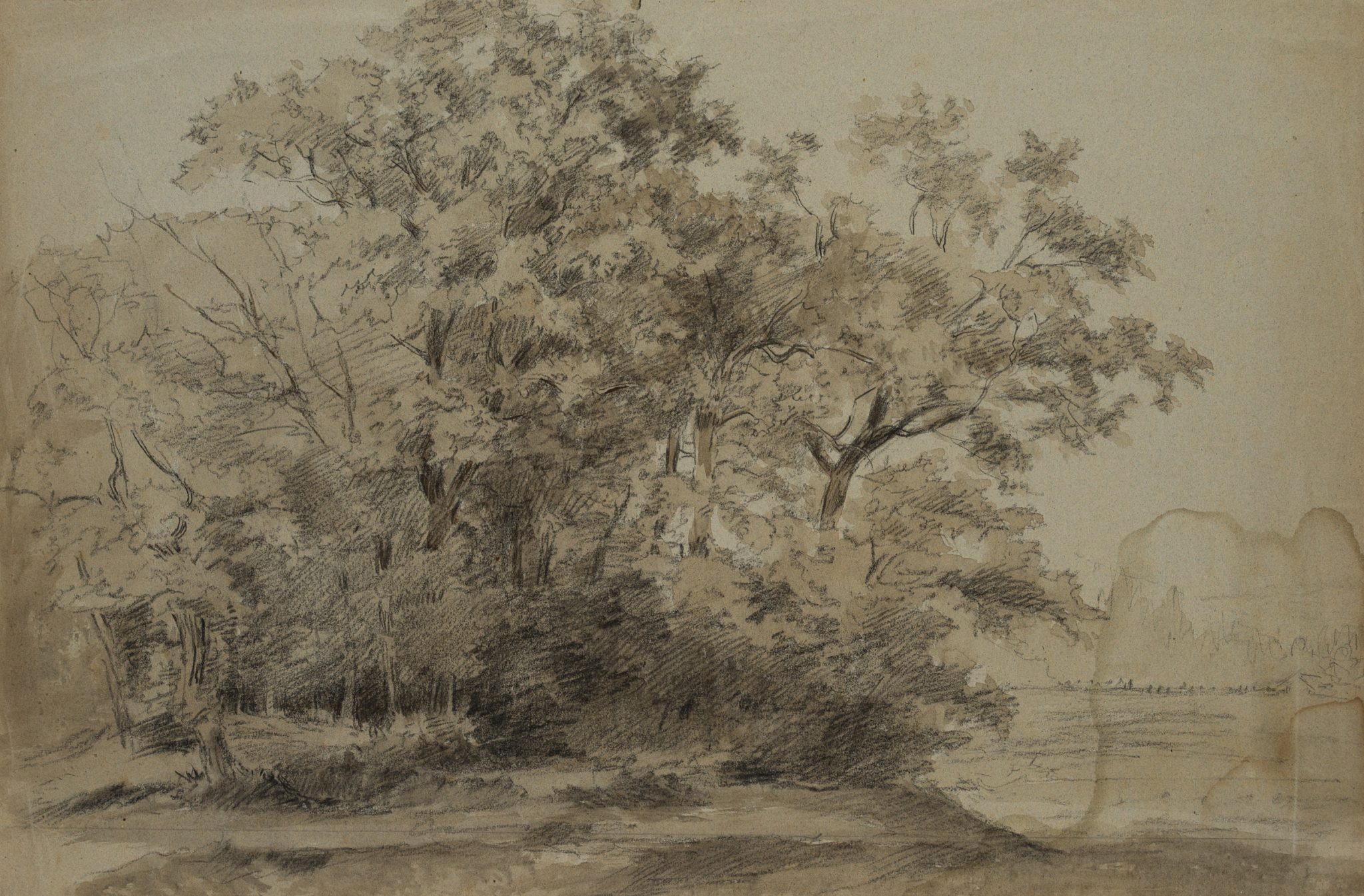 Waldstück mit Baumgruppe