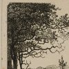 Ansicht 4