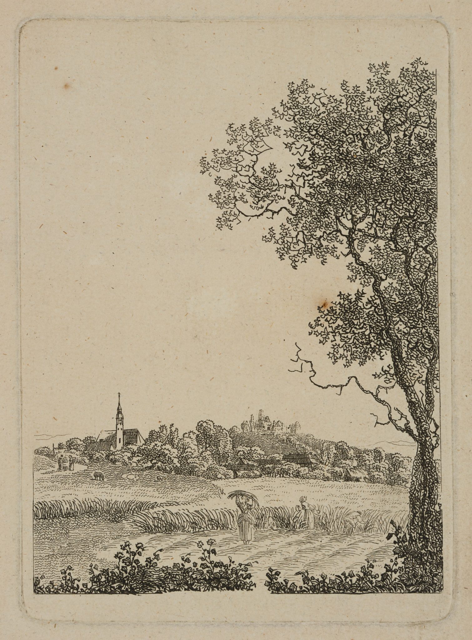 Seifersdorf (Wachau)