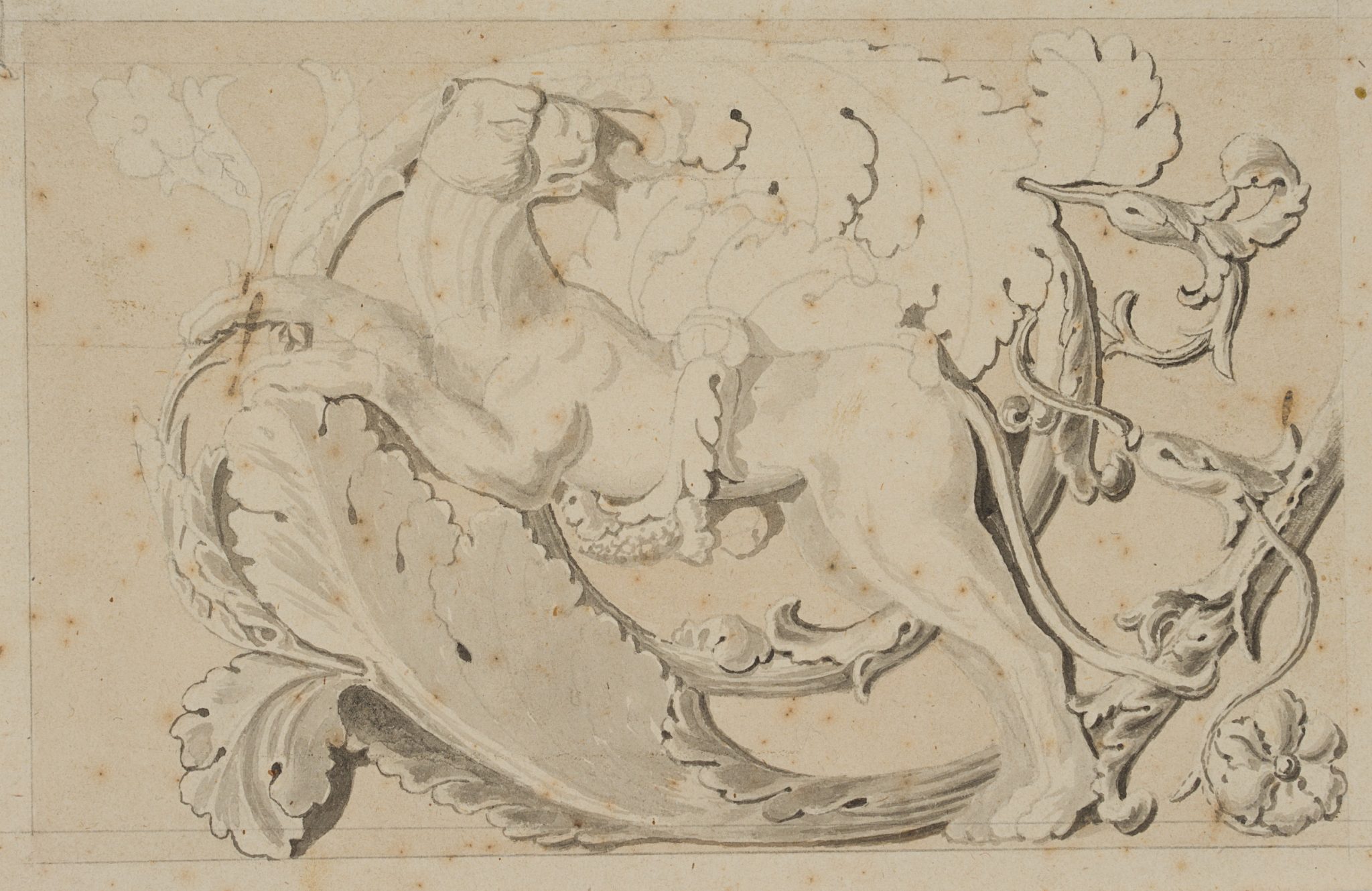 Löwe und Arkanthusblatt
