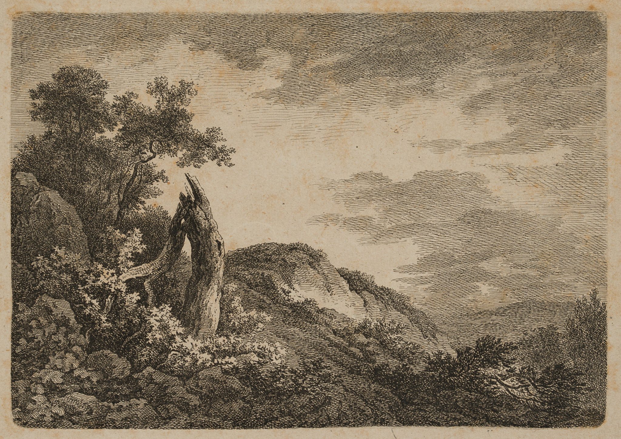 Landschaft mit Baumstumpf