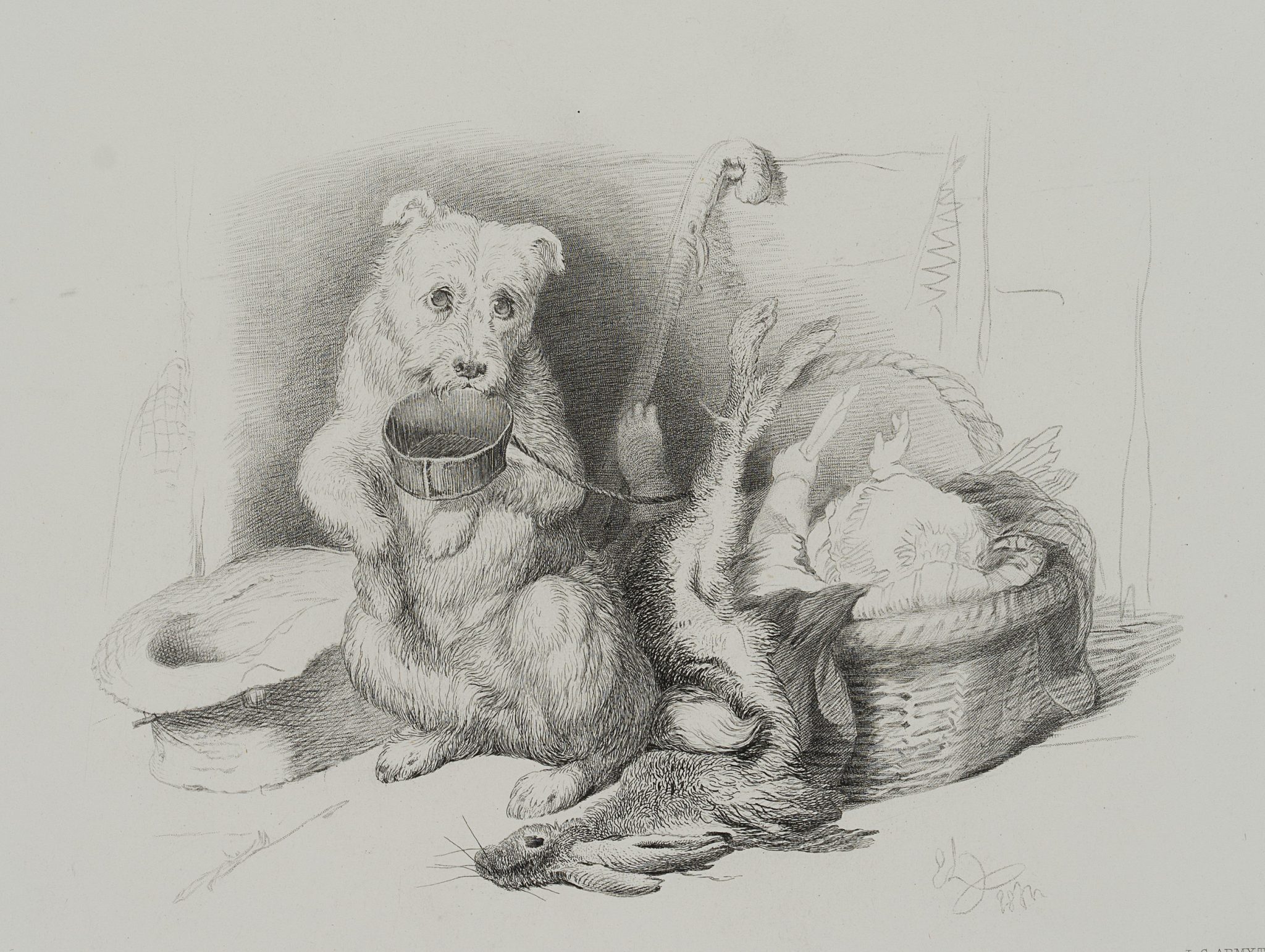 Tierischer Bettler, Hungriger Hund
