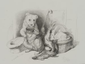 Tierischer Bettler, Hungriger Hund