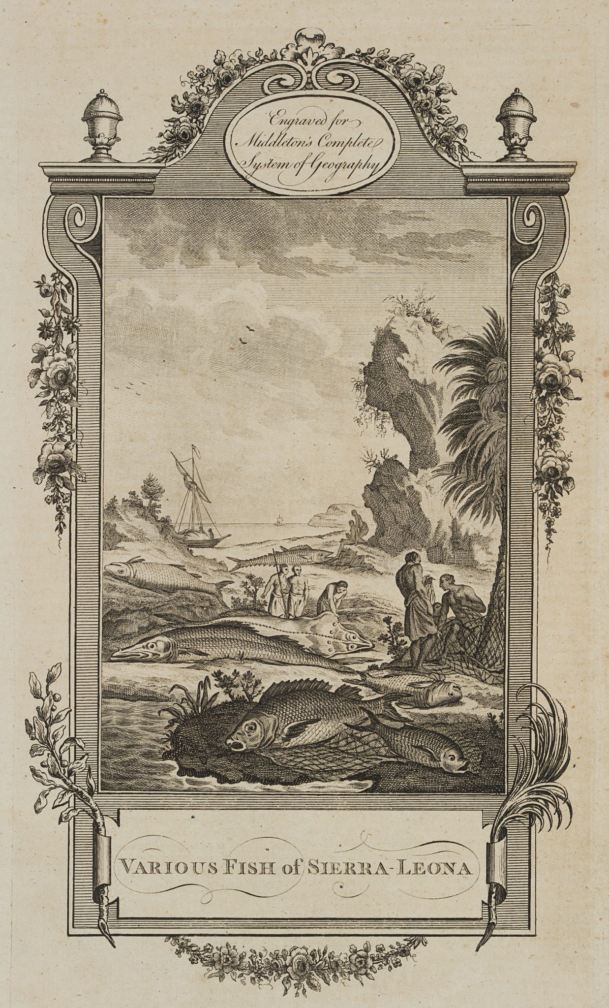 Fischarten von Sierra Leone