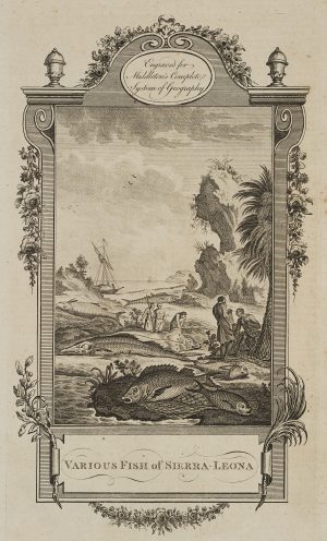 Fischarten von Sierra Leone