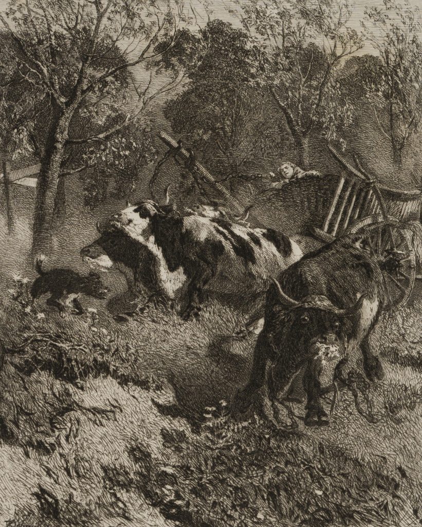 Werk von Johannes Klaus