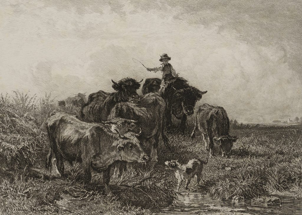 Werk von Anton Braith