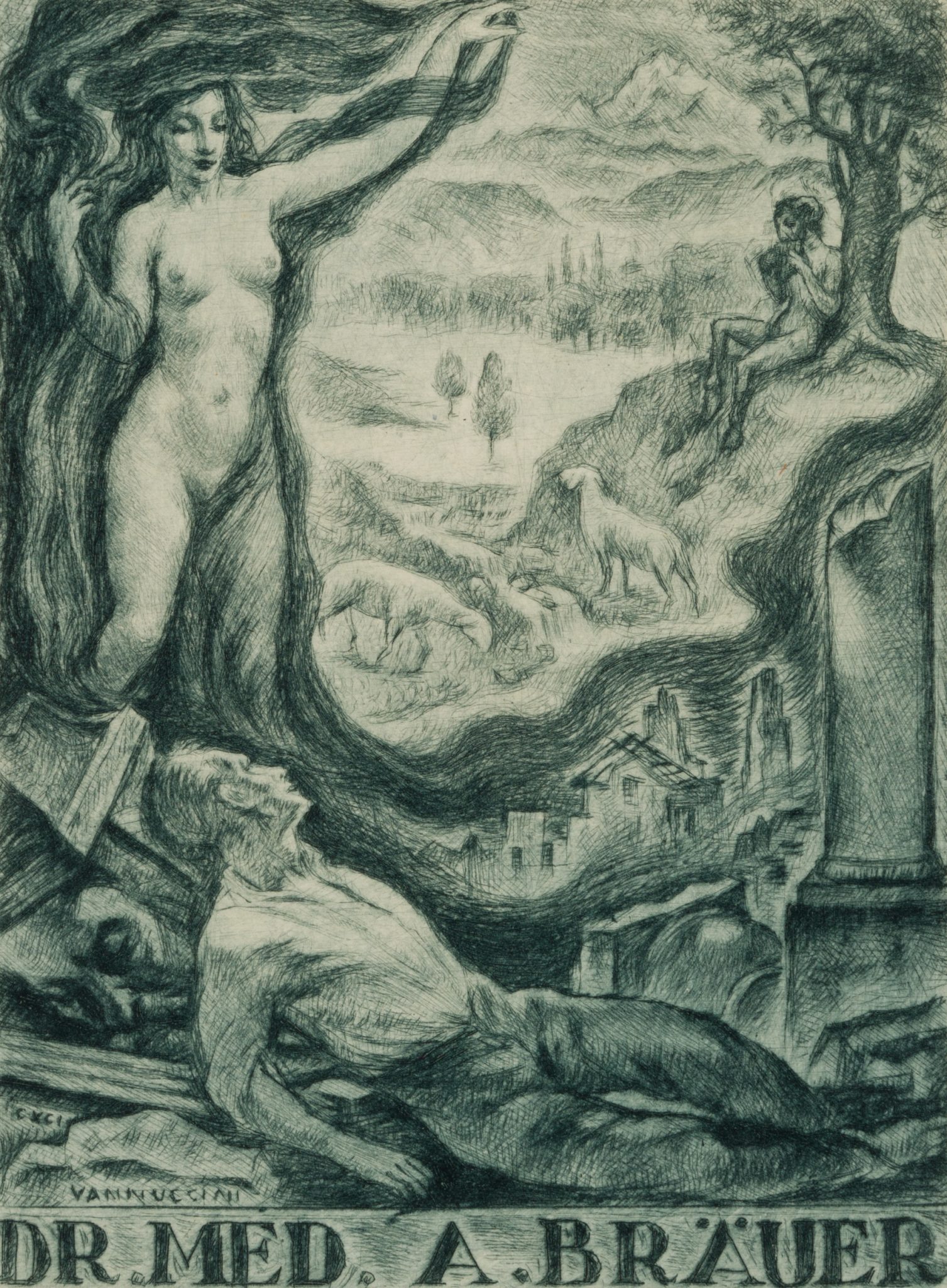 Exlibris Dr. med. A. Bräuer