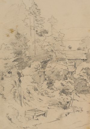 Waldstück mit Holzhütten