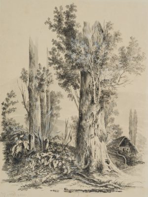 Baumstudie im Wald