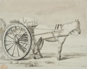 Pferd vor Karren